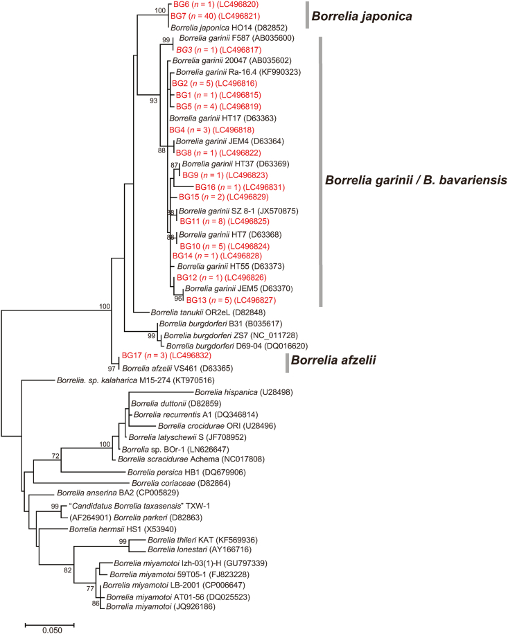 Fig. 2