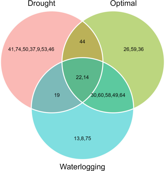 Figure 5