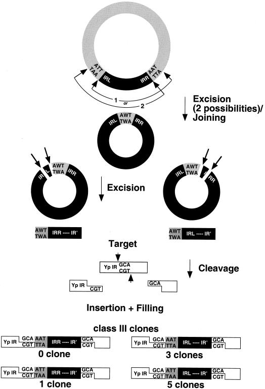 FIG. 5.