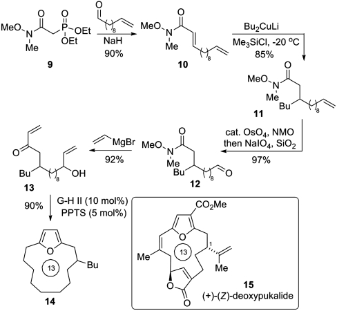 Scheme 2