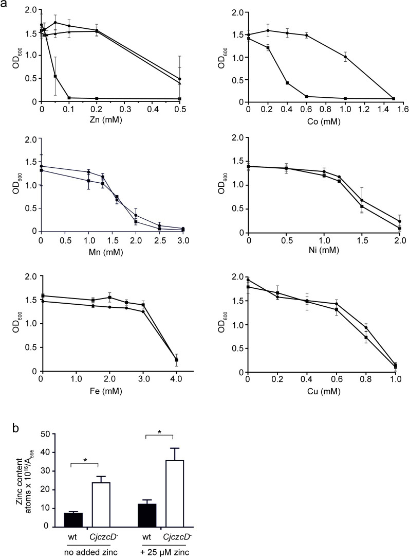 Fig 3