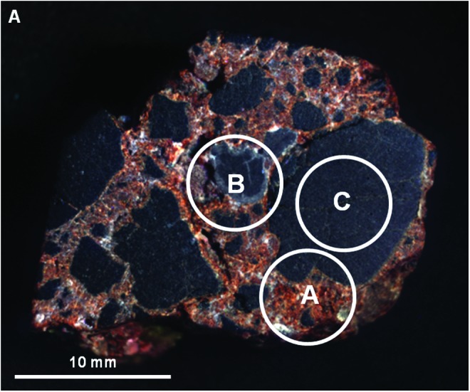 FIG. 21.