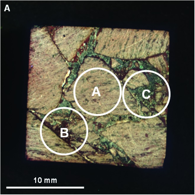 FIG. 14.