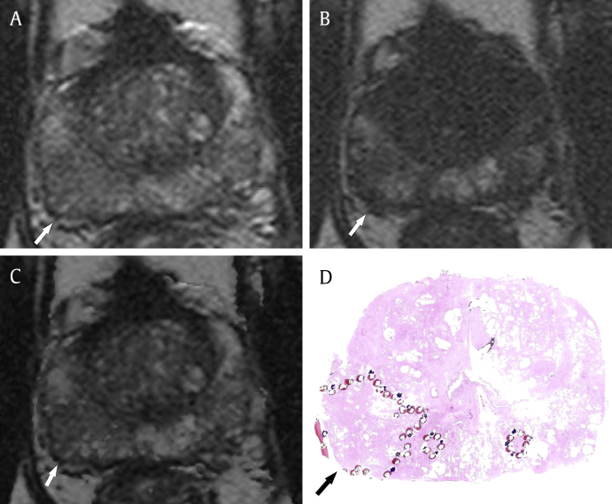 Fig. 5