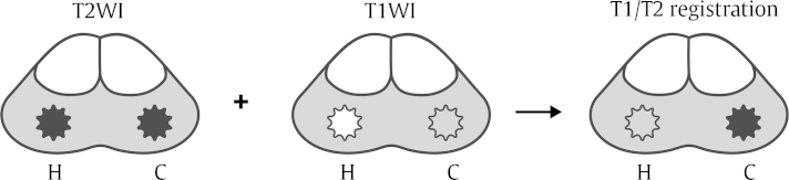 Fig. 1