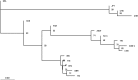 <b>FIG. 1.</b>