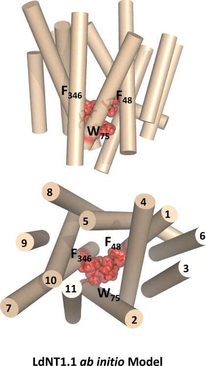 FIGURE 4.