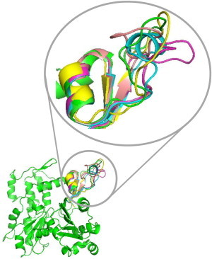 Figure 4