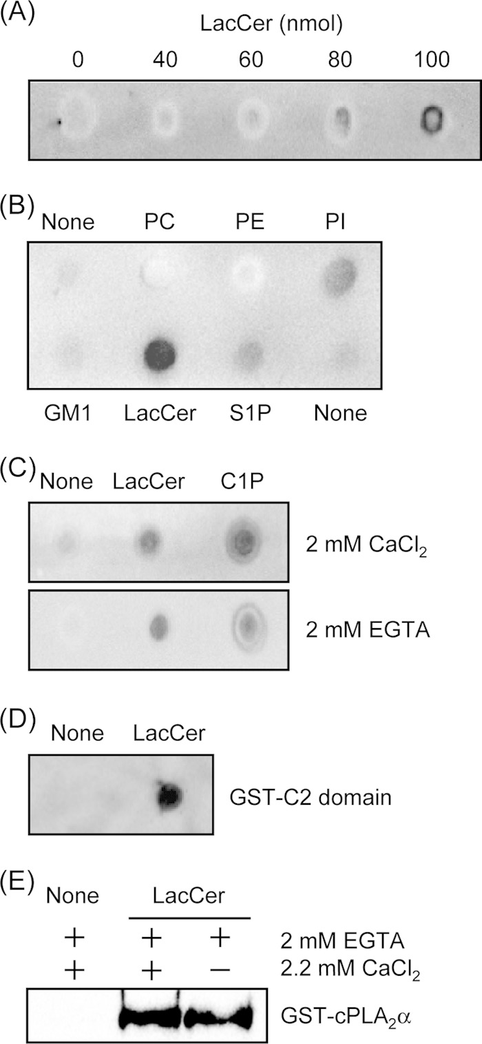 FIGURE 4.