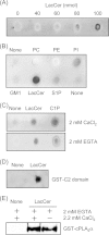 FIGURE 4.
