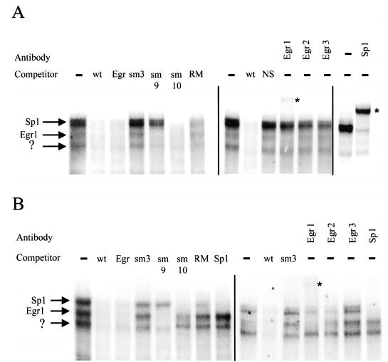 FIG. 8