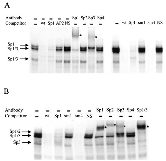 FIG. 7