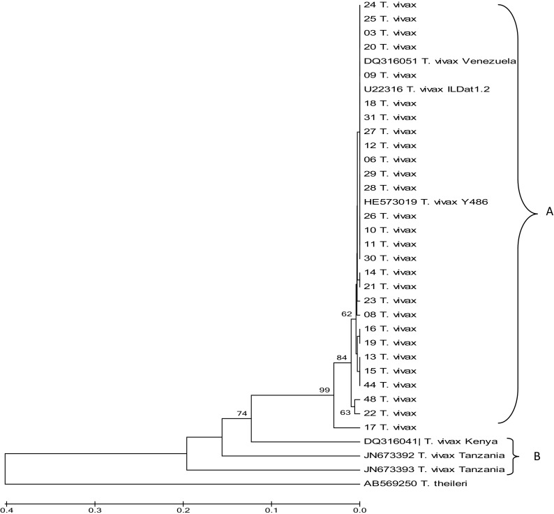 Fig. 4