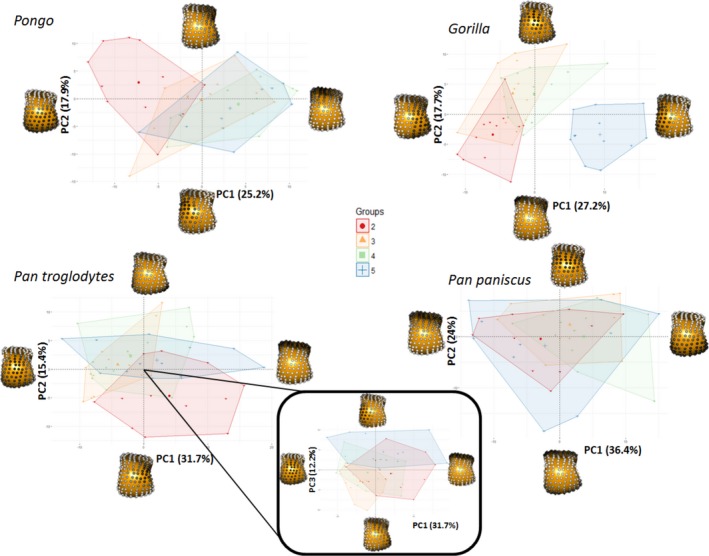 Figure 10