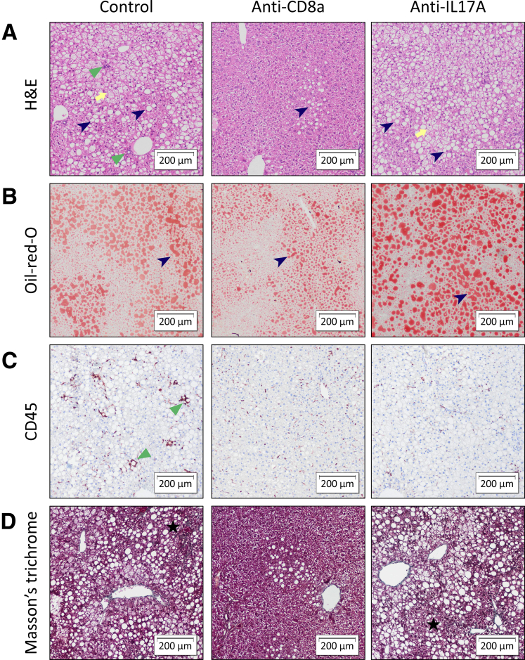 Figure 12