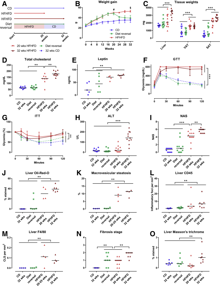 Figure 6