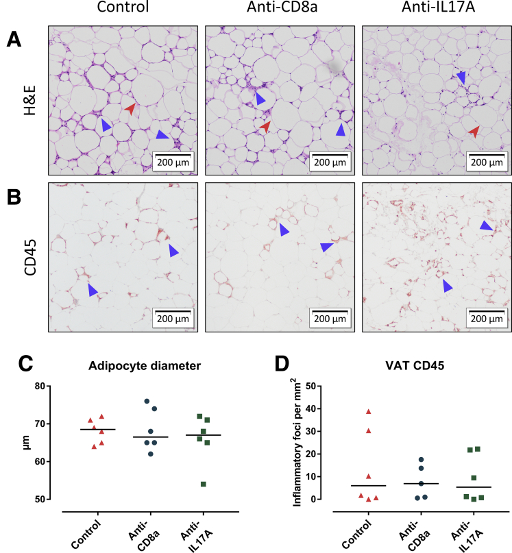 Figure 13