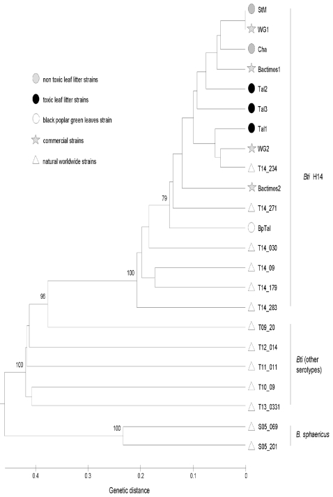 Figure 5