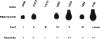 FIG. 2.