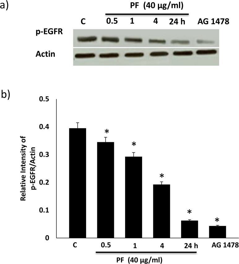 Fig 5