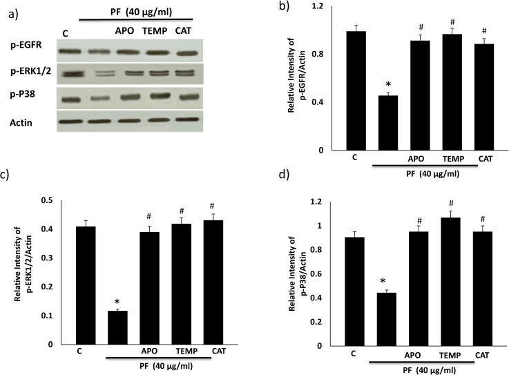 Fig 8