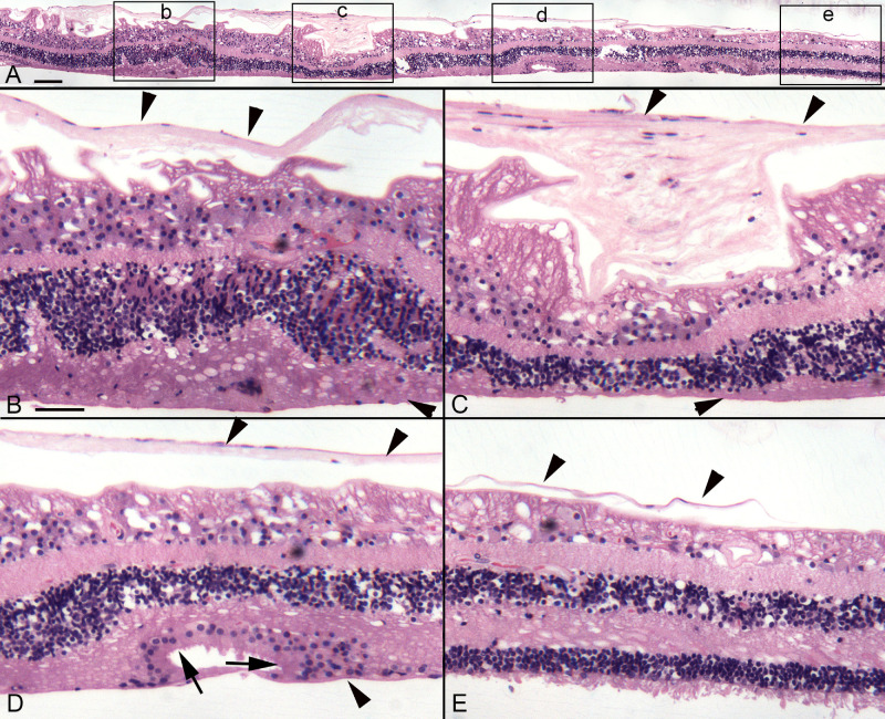 Figure 10.