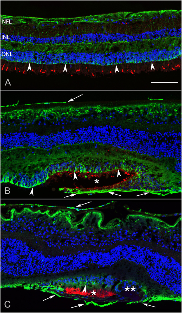 Figure 9.