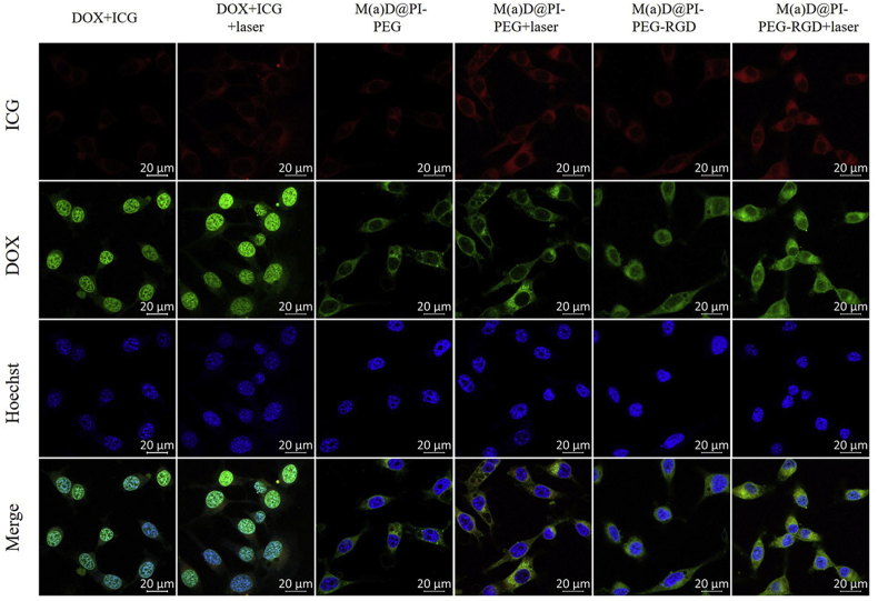 Figure 4