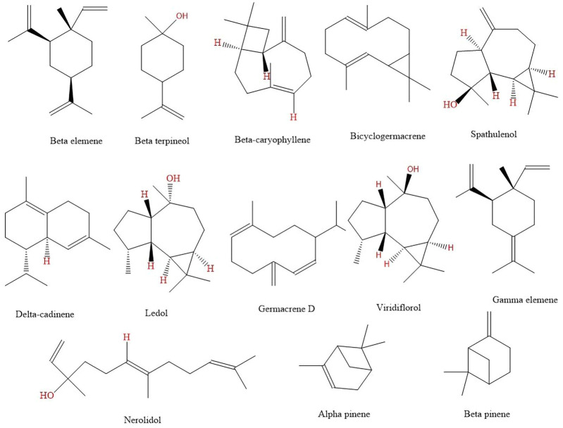 FIGURE 4