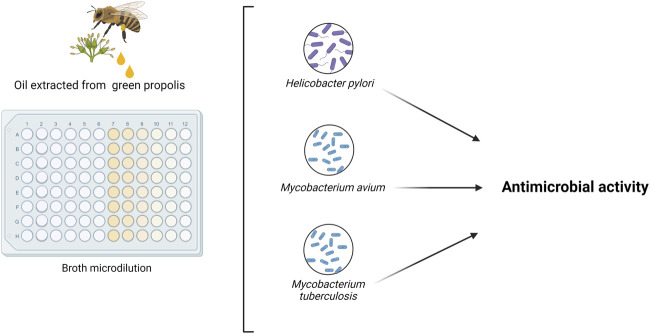 FIGURE 11