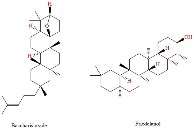 FIGURE 8