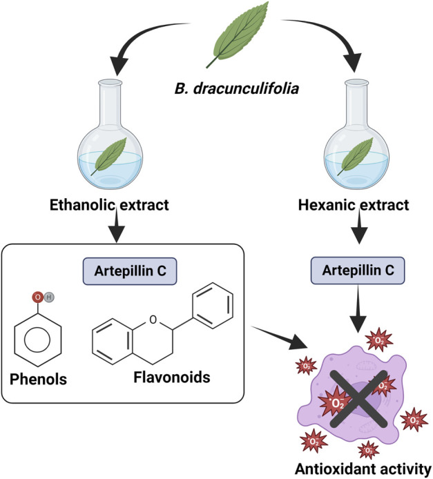 FIGURE 12