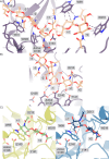 Figure 2—figure supplement 4.