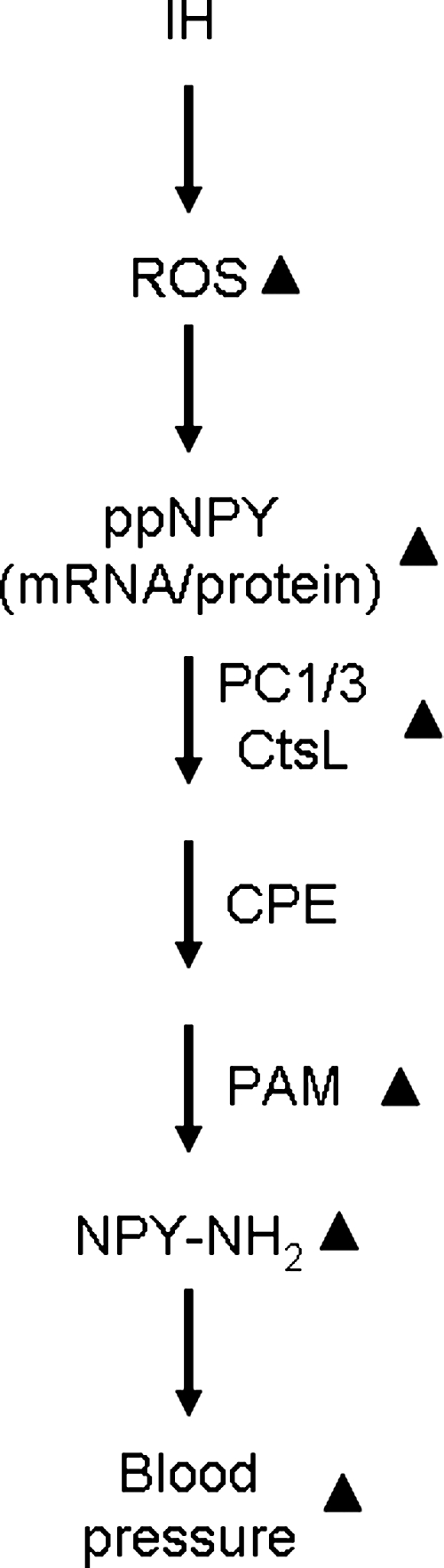 FIG. 10.