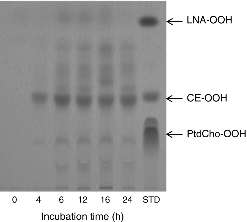 Fig. 1