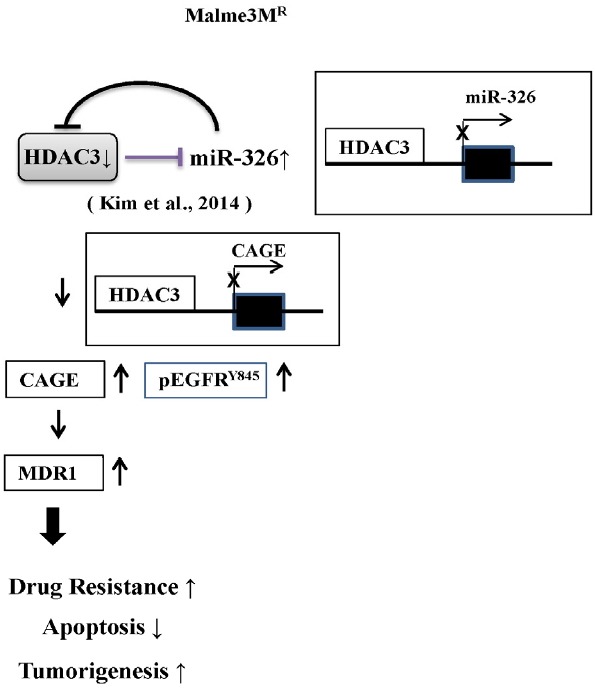 Fig. 10.