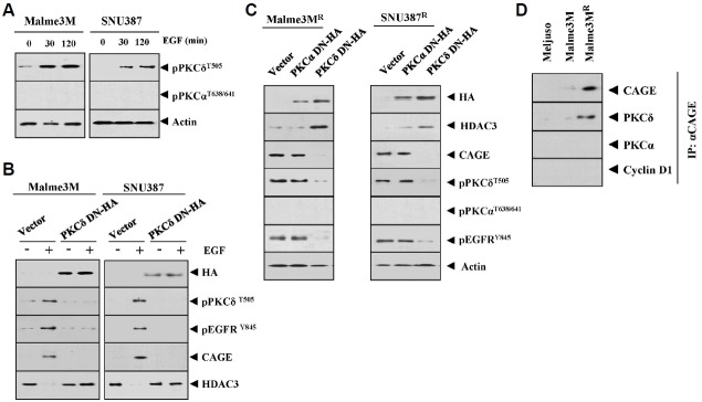 Fig. 9.