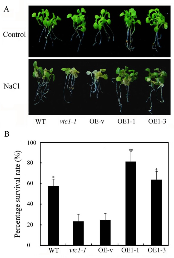 Fig 5