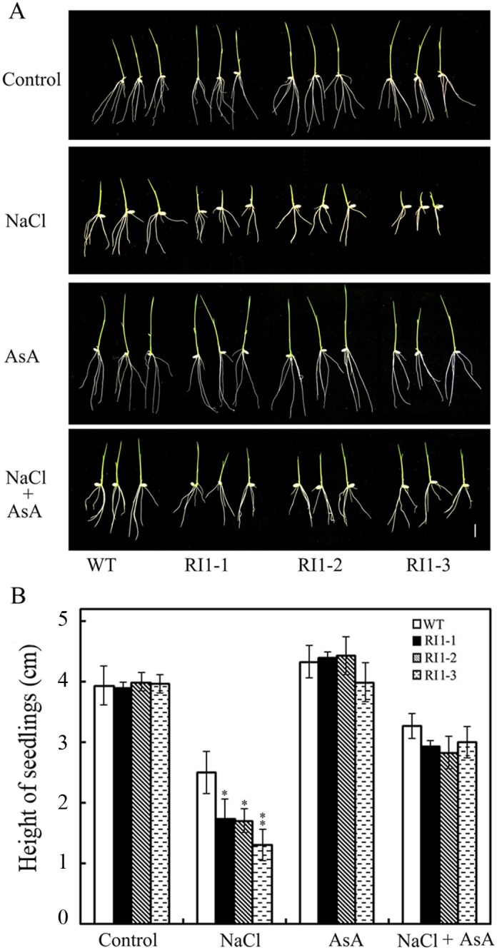 Fig 6