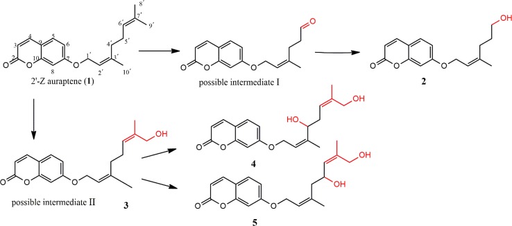 Fig. 3