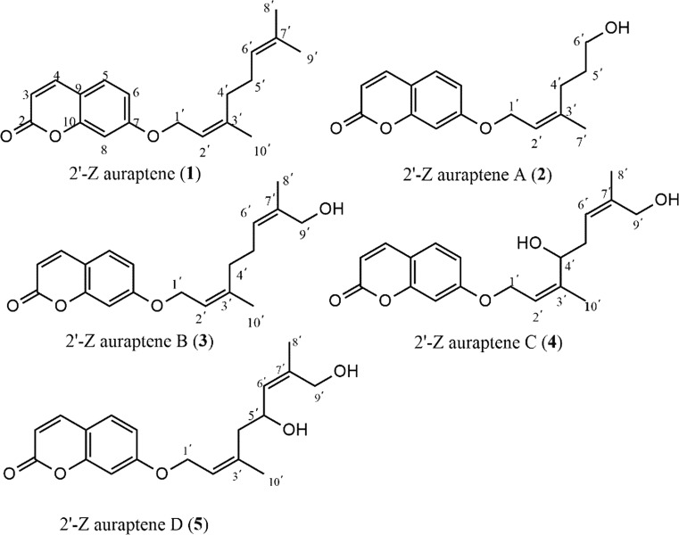 Fig. 1