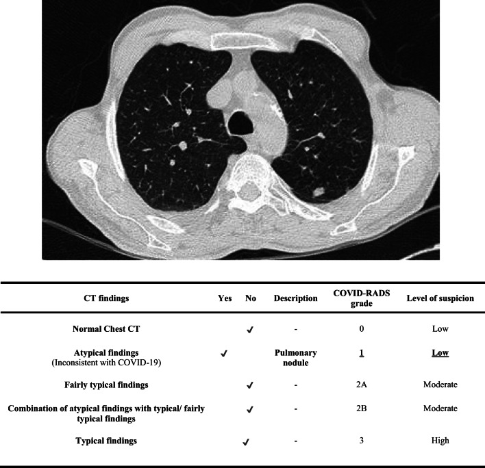 Fig. 9