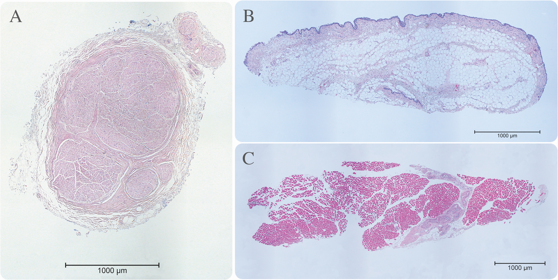 Figure 3.