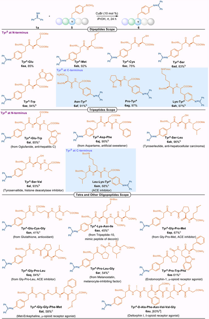 graphic file with name nihms-1826341-t0004.jpg