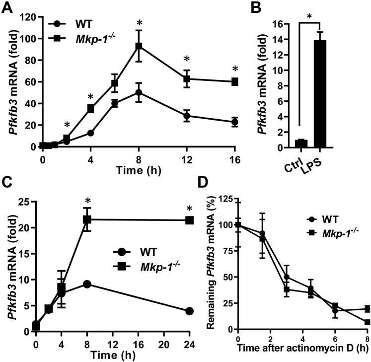 Figure 5