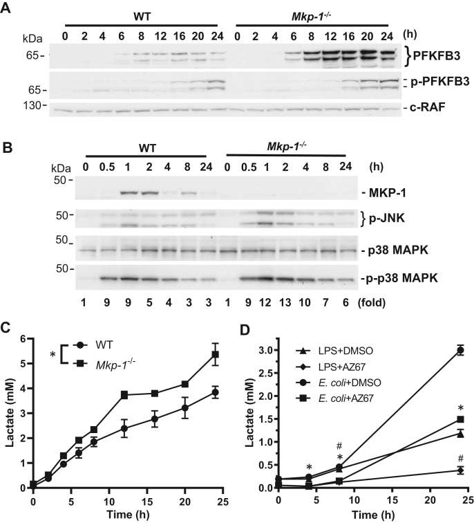 Figure 6