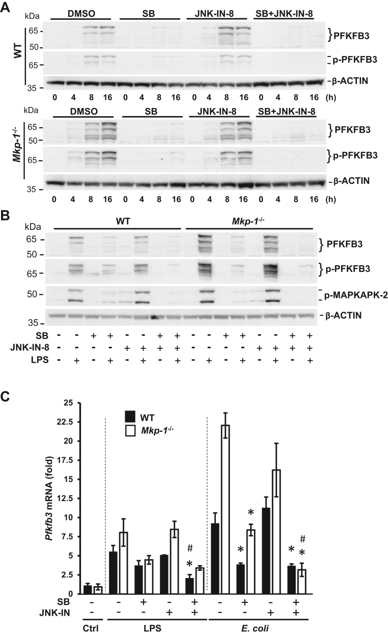 Figure 7