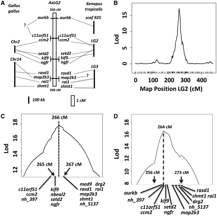 Fig. 2.—