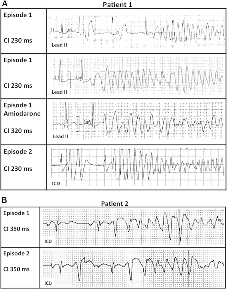 Figure 6