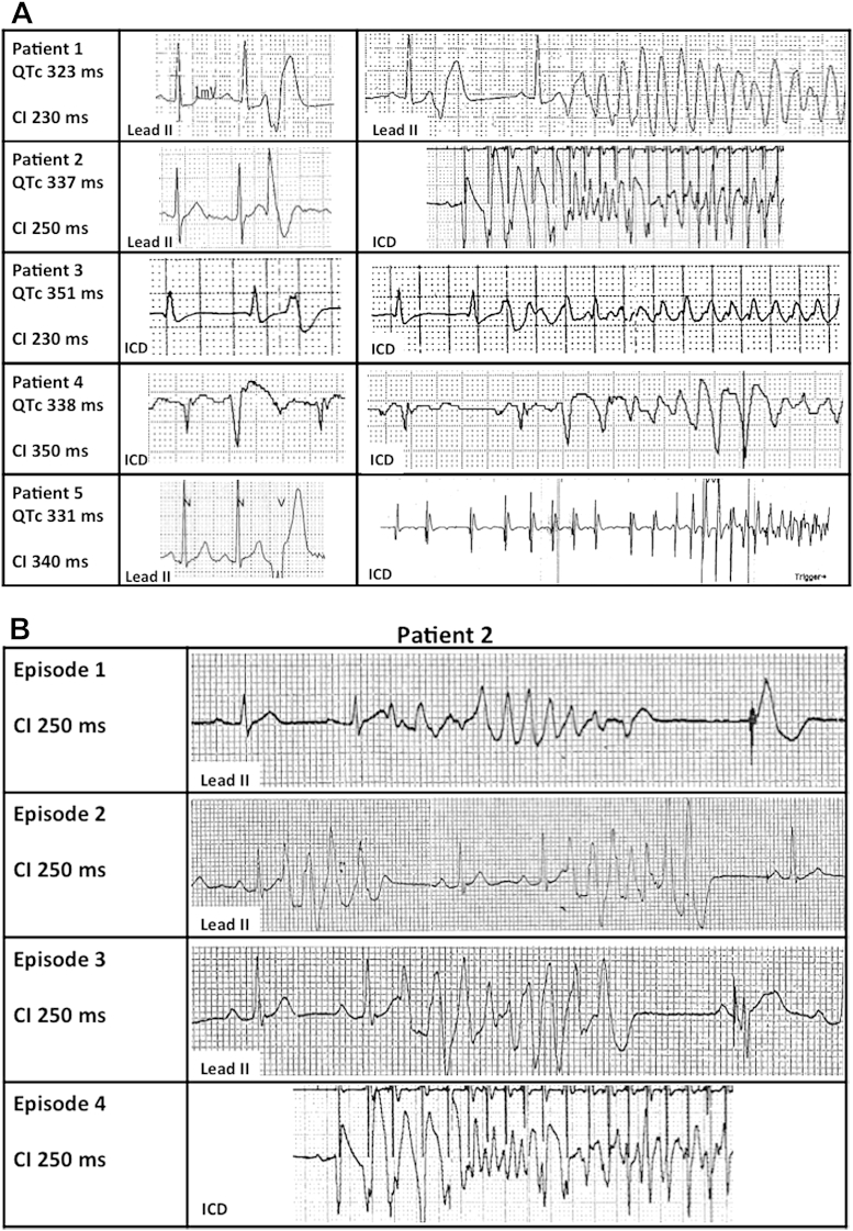 Figure 5